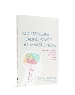Accessing the Healing Power of the Vagus Nerve Book