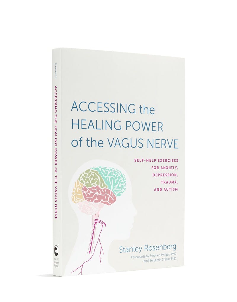 Accessing the Healing Power of the Vagus Nerve Book
