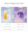 OSEA lip care products with AM and PM usage instructions on a white background