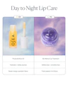 OSEA lip care products with AM and PM usage instructions on a white background