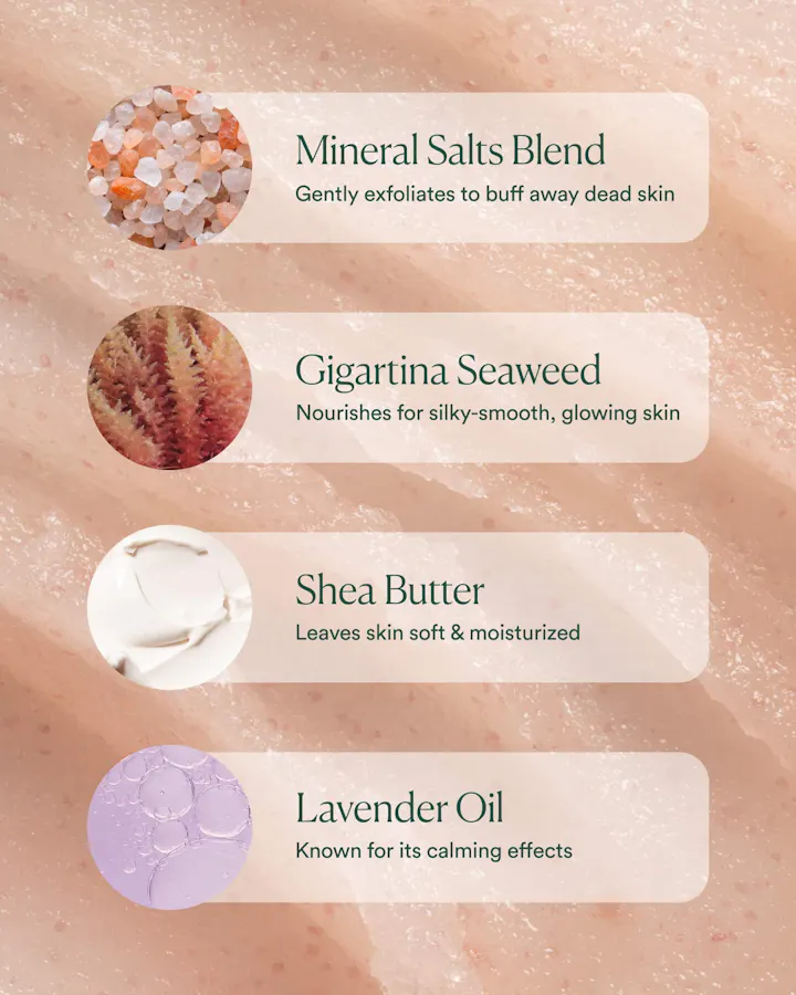 A close-up of a pinkish-beige textured cosmetic product with four labeled ingredient callouts: Mineral Salts Blend, Gigartina Seaweed, Shea Butter, and Lavender Oil, each with a small circular inset showing the ingredient texture.