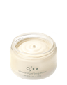 Undaria Algae™ Body Butter