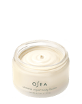 Undaria Algae Body Butter 6.7 oz jar on white background for ecommerce display