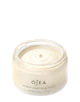 Undaria Algae Body Butter 6.7 oz jar on white background for ecommerce display