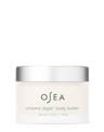 Undaria Algae™ Body Butter - 1.7 oz