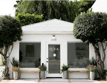 A Small White Building With Plants