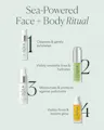 Face + Body Bestsellers