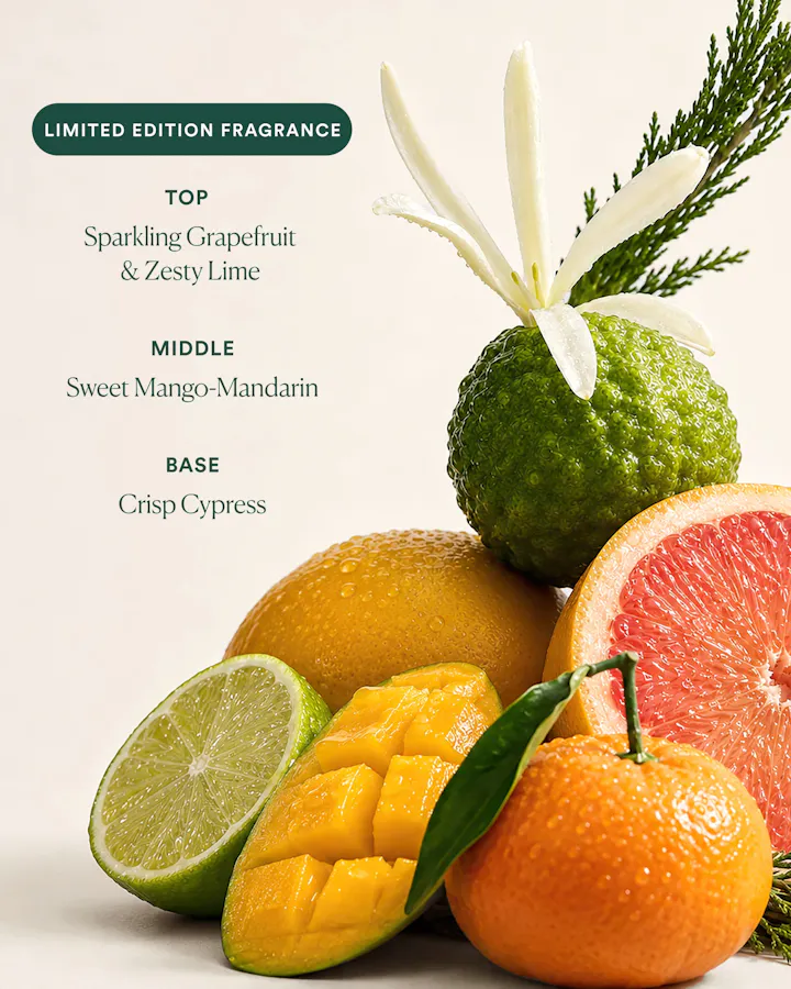 Undaria Uplift Fragrance Mood Oil