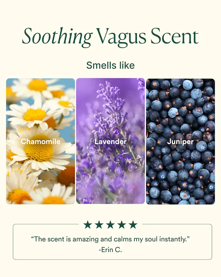 Three scents represented by images of chamomile flowers, lavender, and juniper berries with text indicating their names.