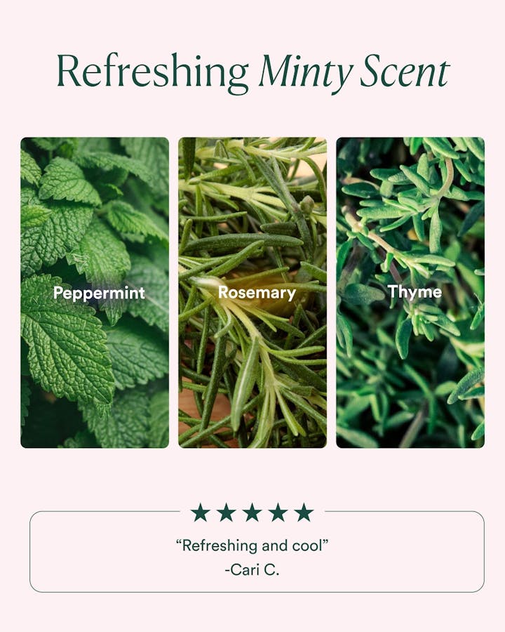 Three types of mint leaves with labels and a rating system on a white background.