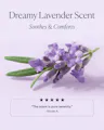 Lavender sprig representing Dream trio’s soothing lavender scent with five-star review quote 