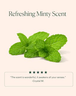 Green mint leaves with text about a refreshing minty scent on a beige background