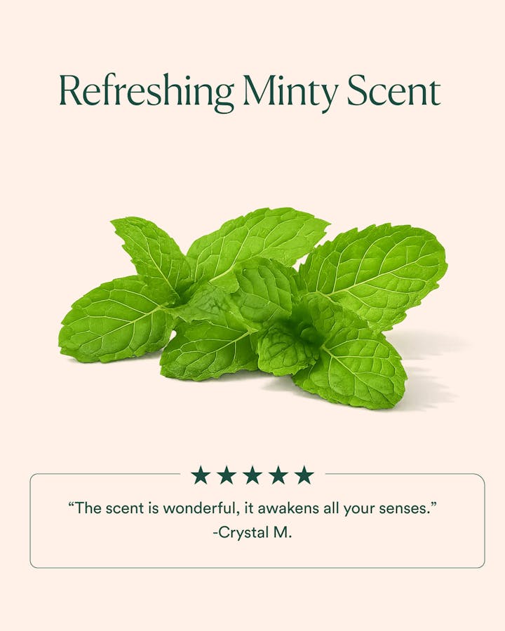 Green mint leaves with text about a refreshing minty scent on a beige background