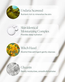 Skincare product ingredients with Undaria Seaweed, Skin Identical Moisturizing Complex, Witch Hazel, and Glycerin on a white background.