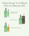 Sea Minerals Mist paired with OSEA treatments to hydrate dry skin, calm problem skin, and boost glow