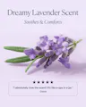 Lavender flower with text about dreamy lavender scent on a light purple background