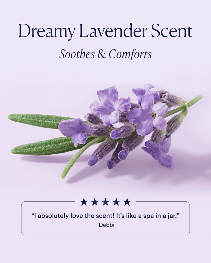 Lavender flower with text about dreamy lavender scent on a light purple background