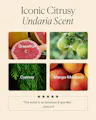 Promotional graphic for citrusy scents with images of grapefruit, lime, cypress, and mango-mandarin.