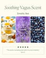 Scent profile graphic featuring chamomile, lavender and juniper notes