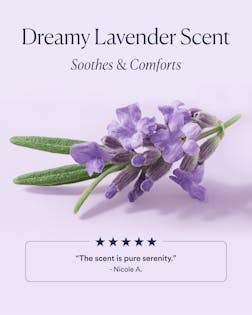 Dream Night Cream