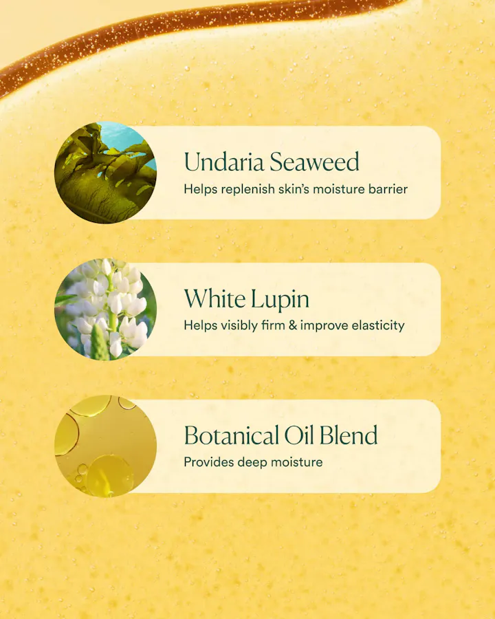 A close-up of a golden yellow cosmetic cream or oil with three labeled ingredient callouts: Undaria Seaweed, White Lupin, and Botanical Oil Blend, each with a small circular ingredient photo and descriptive text on a pale yellow background.