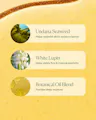 A close-up of a golden yellow cosmetic cream or oil with three labeled ingredient callouts: Undaria Seaweed, White Lupin, and Botanical Oil Blend, each with a small circular ingredient photo and descriptive text on a pale yellow background.