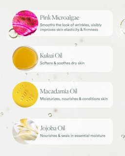 Skincare product packaging with oils and their benefits on a white background