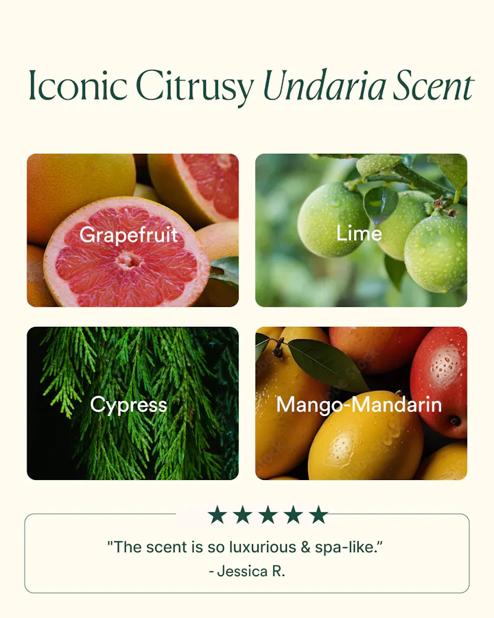 Product packaging with images of grapefruit, lime, cypress, and mango-mandarin with text indicating 'Iconic Citrusy Undaria Scent'.