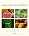 Product packaging with images of grapefruit, lime, cypress, and mango-mandarin with text indicating 'Iconic Citrusy Undaria Scent'.