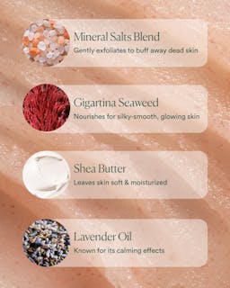 Skincare product ingredients with images and descriptions on a skin texture background