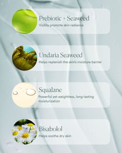 Seabiotic® Water Cream