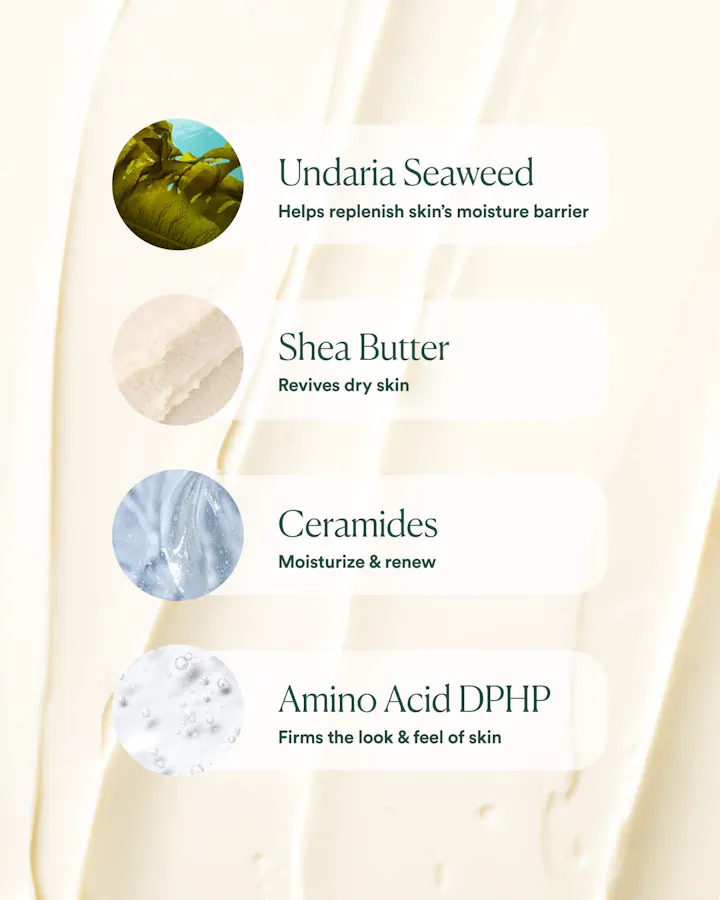 Key ingredient callouts for OSEA Undaria Algae Body Butter over a cream texture background: Undaria Seaweed (helps replenish skin's moisture barrier), Shea Butter (revives dry skin), Ceramides (moisturize & renew), and Amino Acid DPHP (firms the look & feel of skin).