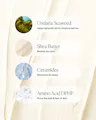 Key ingredient callouts for OSEA Undaria Algae Body Butter over a cream texture background: Undaria Seaweed (helps replenish skin's moisture barrier), Shea Butter (revives dry skin), Ceramides (moisturize & renew), and Amino Acid DPHP (firms the look & feel of skin).