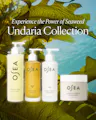 OSEA skincare products with seaweed in the background