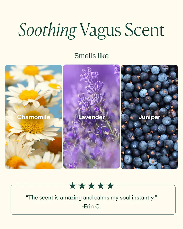 Three scents represented by images of chamomile flowers, lavender, and juniper berries with text indicating their names.