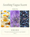 Three scents represented by images of chamomile flowers, lavender, and juniper berries with text indicating their names.