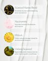 Key ingredients graphic highlighting Seaweed Marine Blend, Niacinamide, Elfdock and Undaria Seaweed for barrier support and microbiome balance