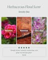 Geranium, rosewood, and clary sage representing the oil’s herbaceous floral scent with five-star review