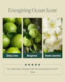 Energizing ocean-inspired scent notes of zesty lime, bergamot, and sweet jasmine