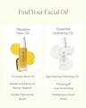 Comparison chart of Dayglow Face Oil and Essential Hydrating Oil benefits and scent profiles
