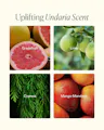 Uplifting Undaria Scent' graphic with four labeled close-up photos of the fragrance notes: halved grapefruit, lime growing on a branch, cypress foliage, and mango-mandarin fruit.