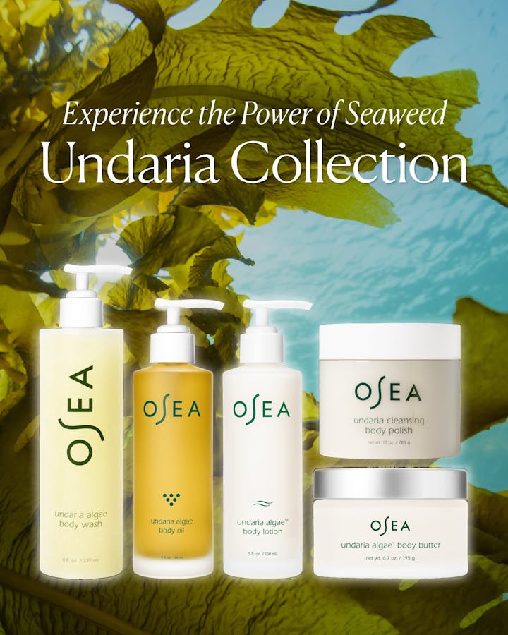 OSEA skincare products with seaweed in the background