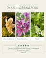 Soothing floral scent profile featuring jasmine, rose geranium, and basil with five-star review