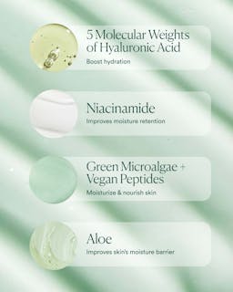 Hyaluronic Body Serum