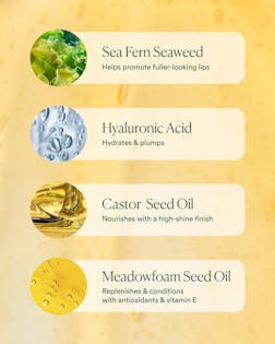 Hyaluronic Lip Oil Booster