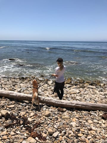 Woman Walking Her Dog On A Rocky Beach