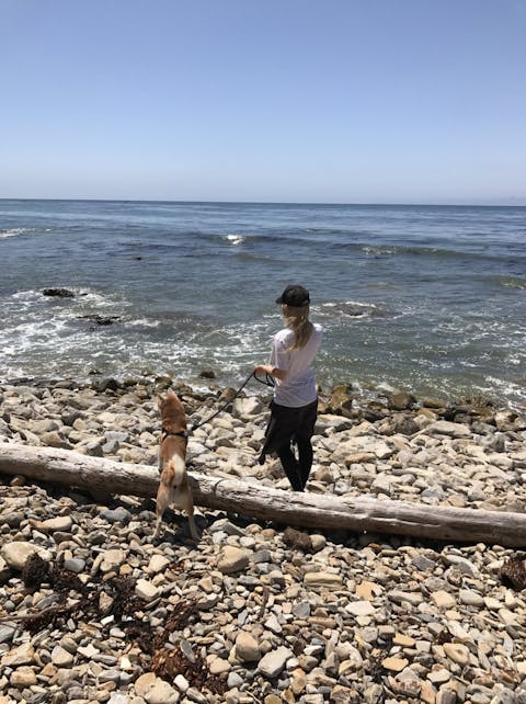 Woman Walking Her Dog On A Rocky Beach