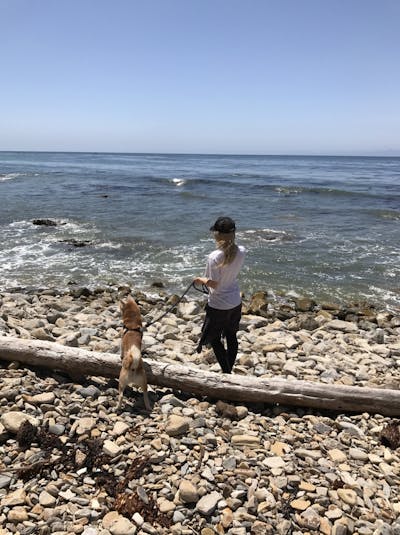 Woman Walking Her Dog On A Rocky Beach
