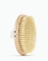 OSEA dry body brush with natural bristles and canvas hand strap on white background for ecommerce display