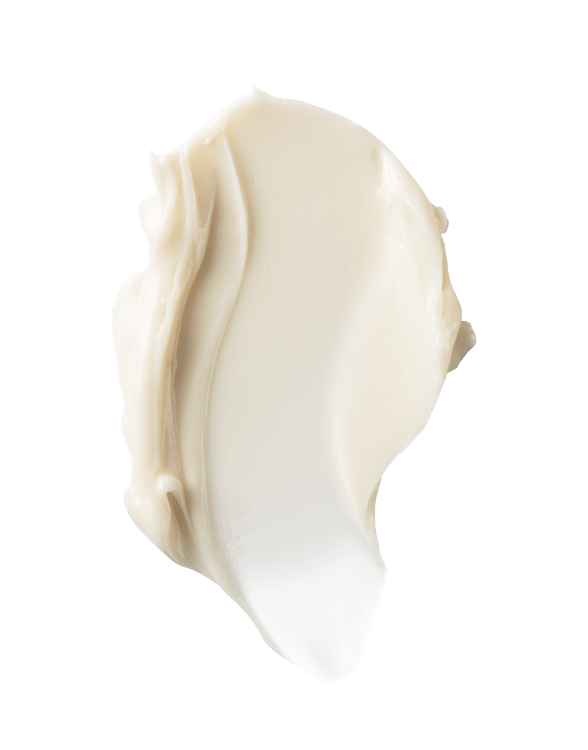Undaria Algae® Body Butter - Sample